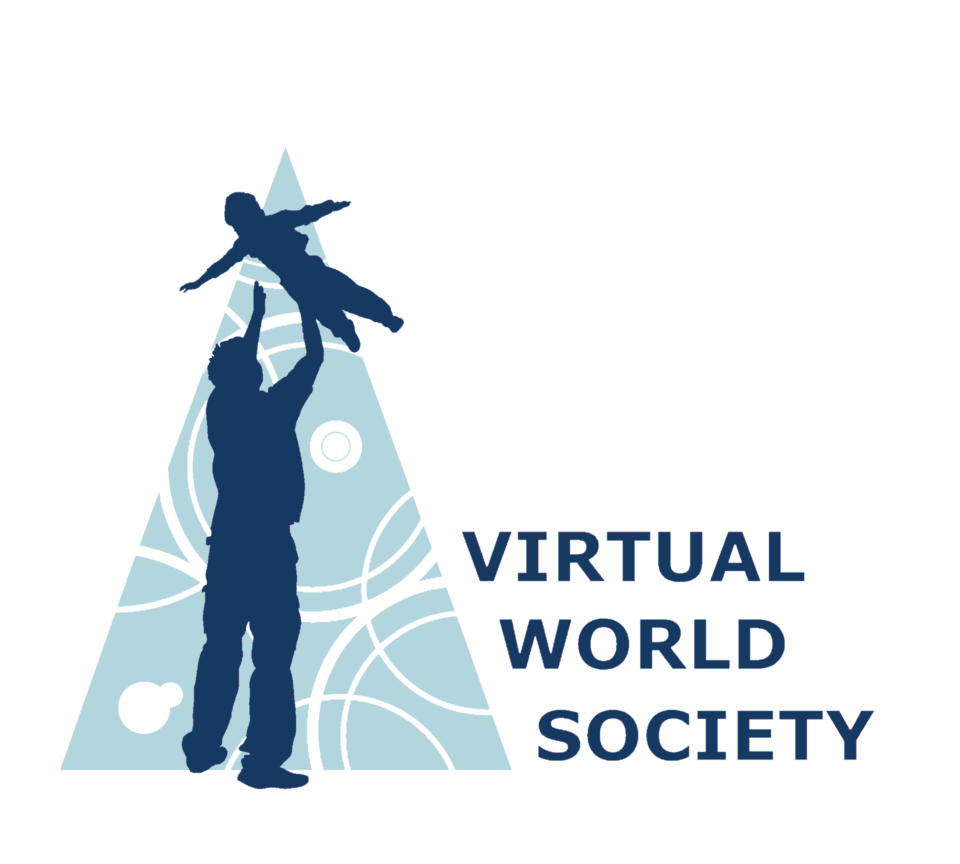 Virtual World Society